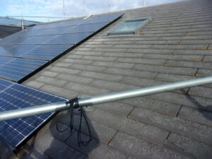 ニューグリーン